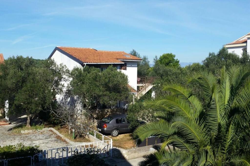 Milena - Zdrelac/pasman/zadar